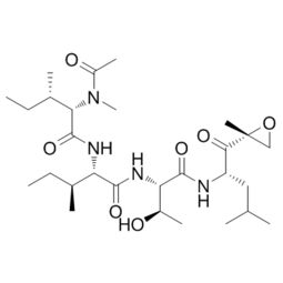 ARN2966 细胞生物学研究中的关键试剂解析与应用