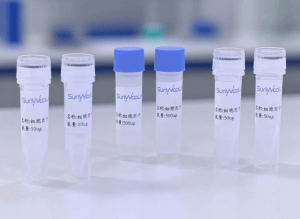 科研细胞因子利器 上海酶联生物试剂盒助力抗疫科学