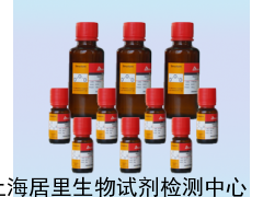 乙酰二甲胺（127-19-5）价格与供应信息 - 上海居里生物试剂检测中心